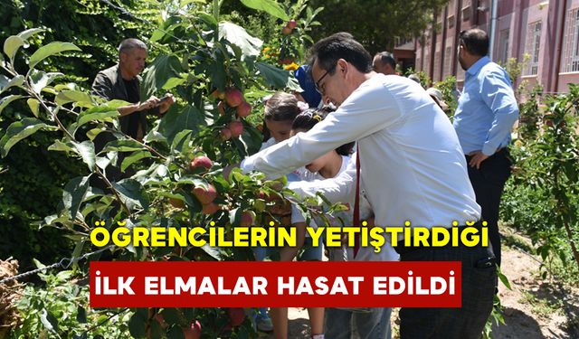 Öğrencilerin Sevgisiyle Büyüyen Elmaların İlk Hasadı Yapıldı