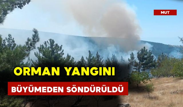 Orman Yangını Büyümeden Söndürüldü