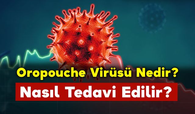 Oropouche Virüsü Nedir ve Nasıl Tedavi Edilir?