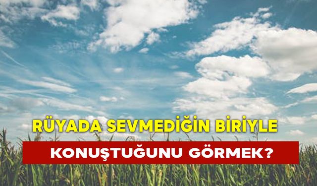 Rüyada Sevmediğin Biriyle Konuştuğunu Görmek?