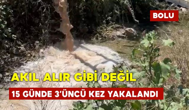 Yakışmadı Sana Erpiliç!