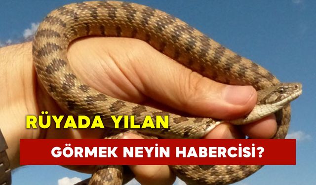 Yılan Görmek Neyin Habercisi?