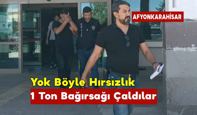 Yok Böyle Hırsızlık