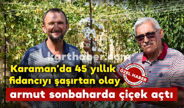 45 yıllık fidancıyı şaşırtan olay: armut fidanı sonbaharda çiçek açtı