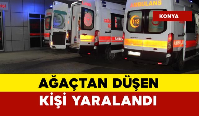 Ağaçtan düştü yaralandı