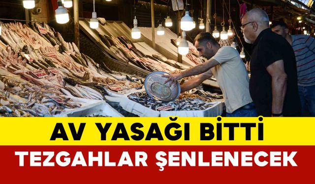 Av yasağının 15 Eylül’de kalkmasıyla tezgahlarda balık bolluğu yaşanıyor