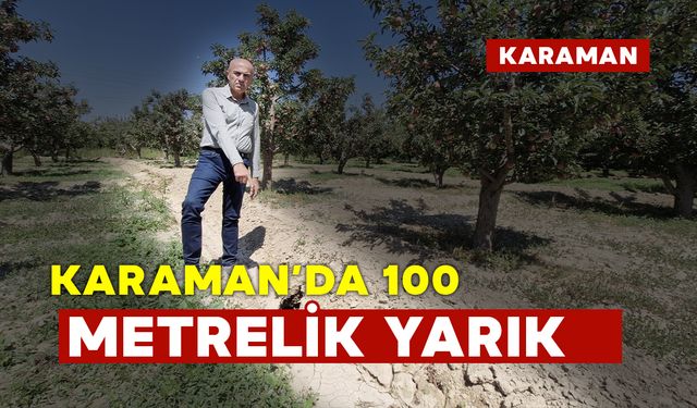 Elma bahçesinde oluşan 100 metrelik yarık korkuttu