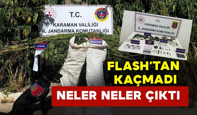 Flash'tan kaçamadılar: Jandarma neler neler yakaladı