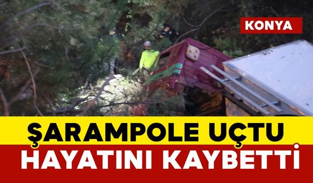 Kamyon şarampole uçtu sürücü hayatını kaybetti