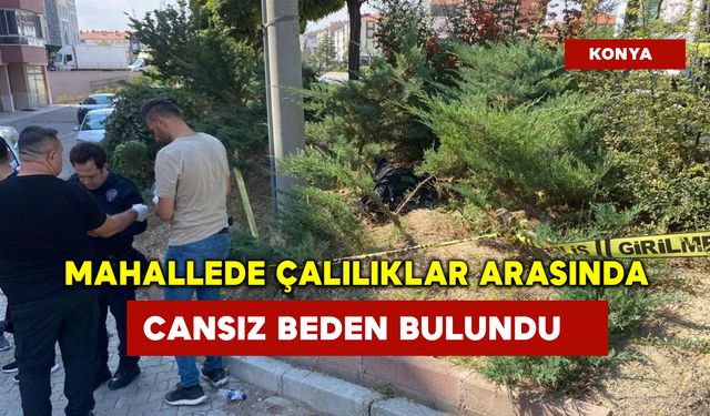 Mahallede çalılıklar arasında cansız beden bulundu