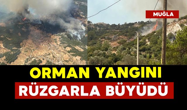 Muğla'da orman yangını rüzgarın etkisi ile büyüdü