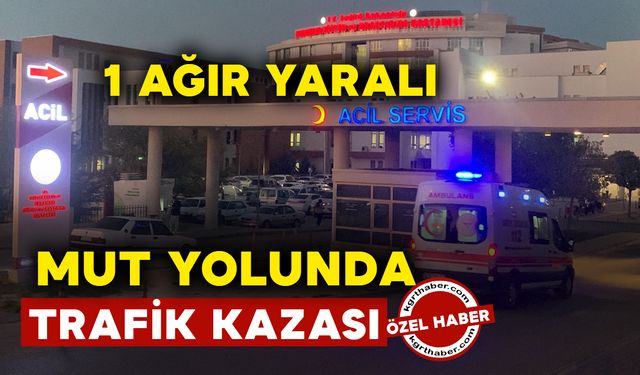 Mut yolunda kaza: 1 ağır yaralı