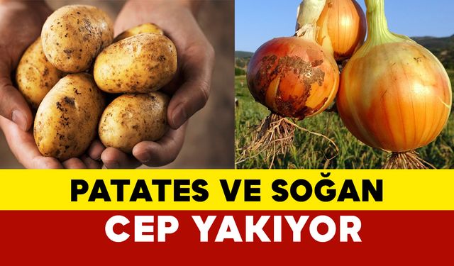 Patates ve soğan cep yakıyor halk kışa çuvalla hazırlanıyor