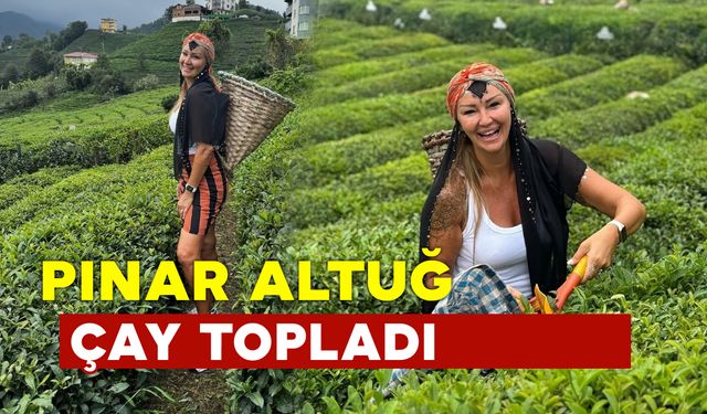 Pınar Altuğ Atacan Rize’de bahçeye girip çay topladı