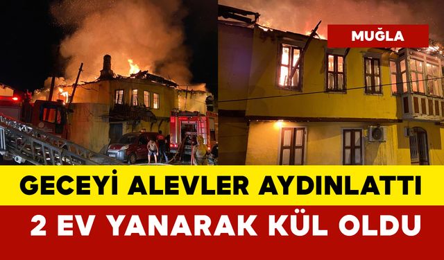 2 ev yanarak kül oldu: yangında 6 kedi öldü