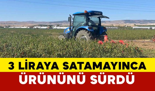 3 liraya alıcı bulamayan çiftçi ürününü sürdü