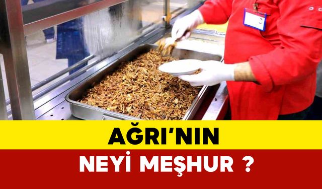 Ağrı'nın neyi meşhur?