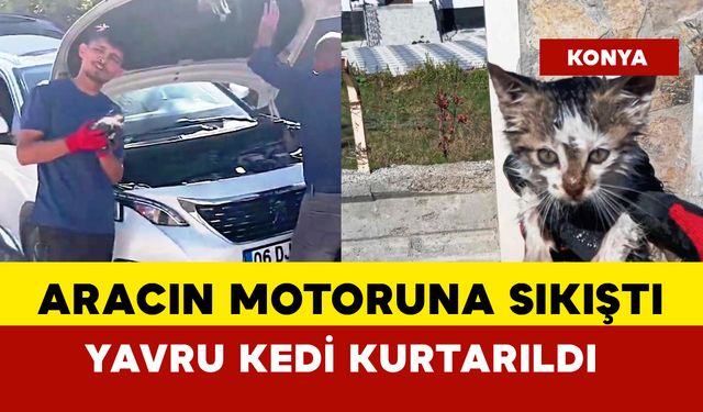 Aracın motoruna sıkışan kedi kurtarıldı