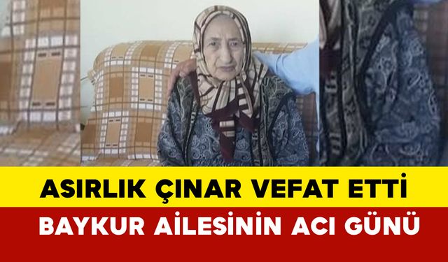 Karaman’da Asırlık Çınar Vefat Etti