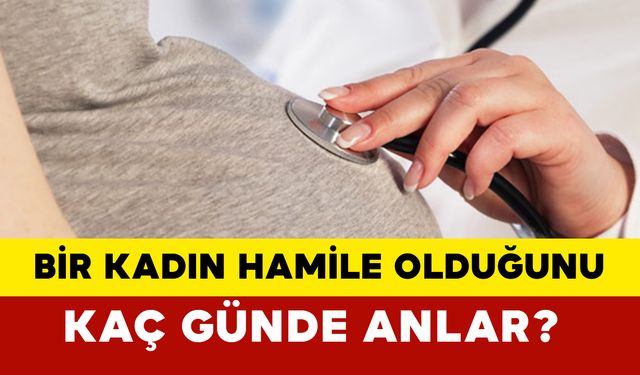 Bir Kadın Hamile Olduğunu Kaç Günde Anlar?