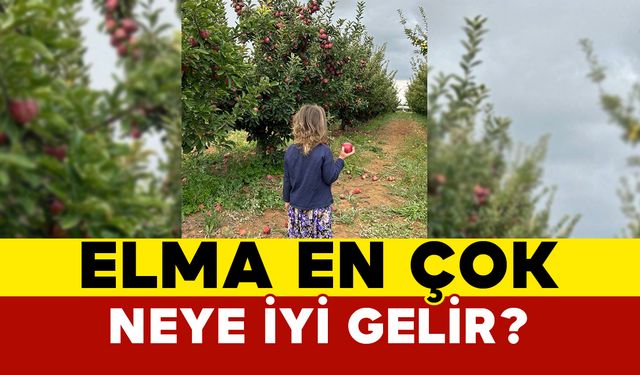 Elma En Çok Neye İyi Gelir?