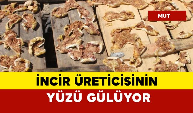 İncir Üreticisinin Yüzünü Güldürdü