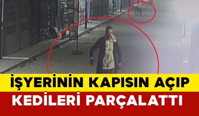 İş yerinin kapısını açıp kedileri köpeklere parçalattı