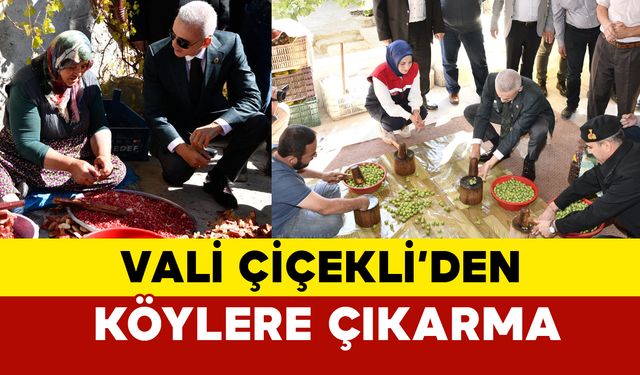 Karaman Valisi Çiçekli'den köylere çıkarma