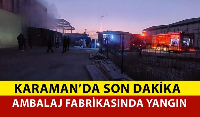 Karaman'da Ambalaj Fabrikasında Yangın