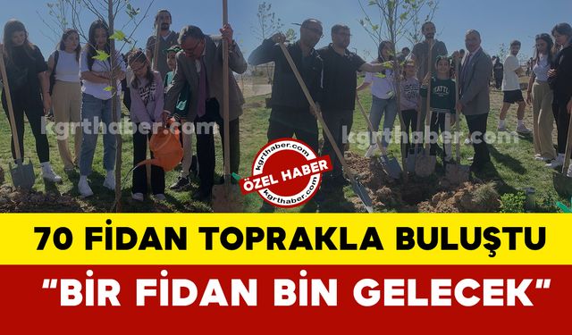 KMÜ’de 70 çınar fidanı toprakla buluştu