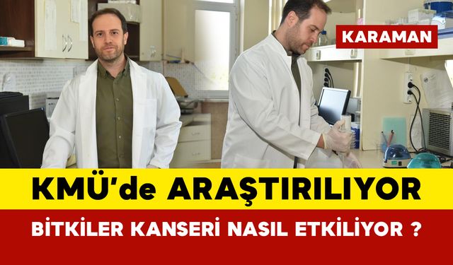 KMÜ'de araştırılıyor... Bitkilerin kanser üzerindeki etkisi nedir?