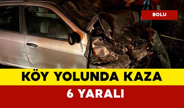 Köy yolundaki kazada 6 kişi yaralandı