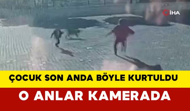 Küçük çocuk köpek saldırısından zor kurtuldu: O Anlar Güvenlik Kamerasında