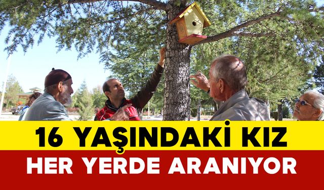 Kuş Evleri Huzurevi Sakinleriyle Birlikte Ağaçlara Yerleştirildi