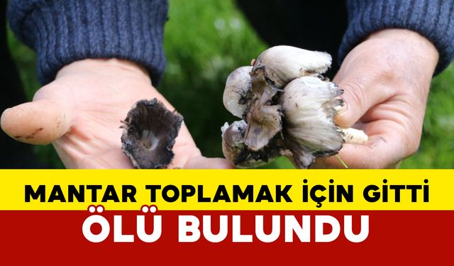 Mantar toplamak için gittiği arazide ölü bulundu