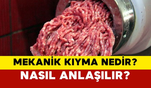 Mekanik Kıyma Nedir? Nasıl Anlaşılır?