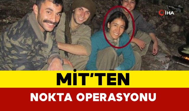 MİT nokta operasyonu yaptı