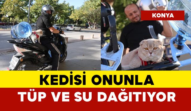 Motor tutkunu kedi onunla tüp ve su dağıtıyor