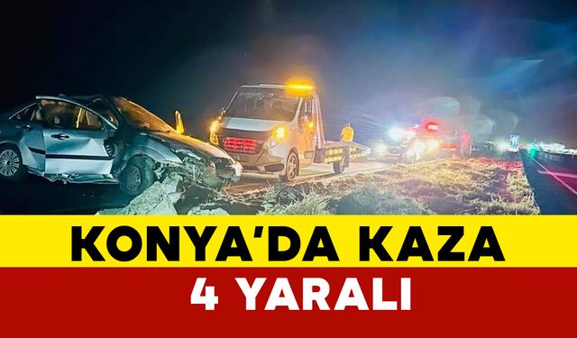 Otomobil kontrolden çıktı: 4 yaralı