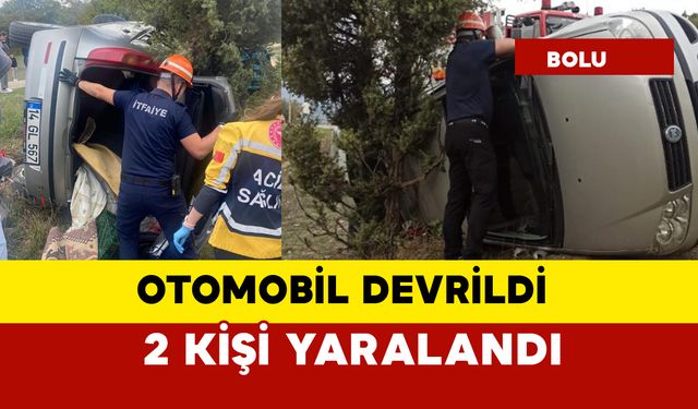 Otomobil yol kenarına devrildi: 2 yaralı