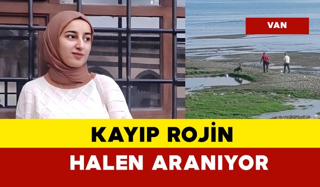 Rojin Kabaiş arama çalışmaları devam ediyor son durum ne?