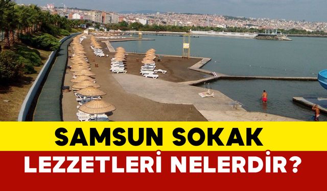 Samsun sokak lezzetleri nelerdir?