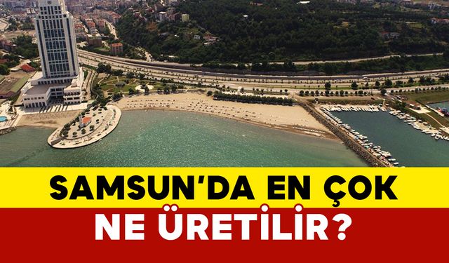 Samsun’da en çok ne üretiliyor?