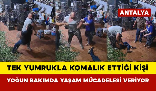 Tek yumrukla komalık ettiği kişi yoğun bakımda yaşam mücadelesi veriyor