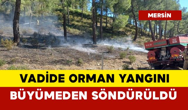 Vadide orman yangını paniği