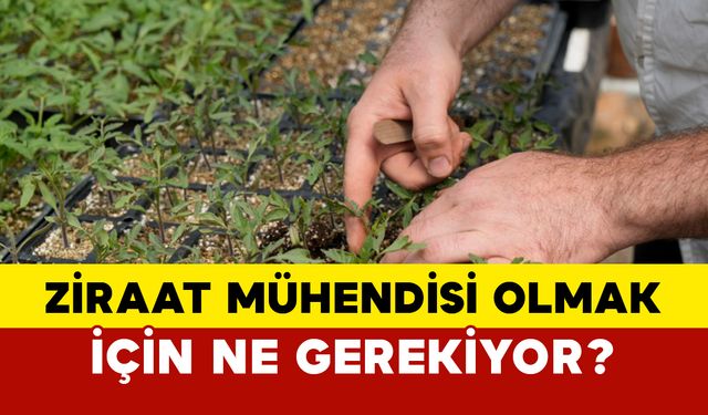 Ziraat mühendisi olmak için ne gerekiyor?