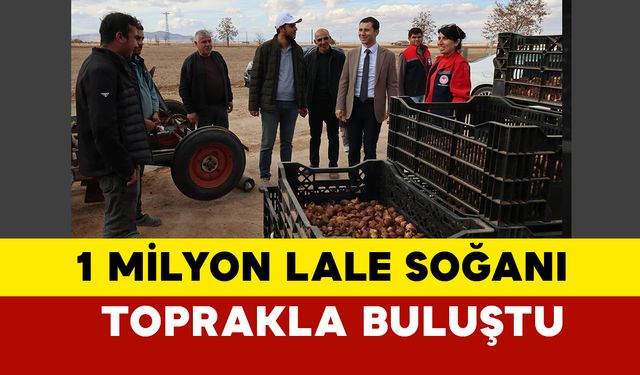 1 Milyon Lale Soğanı Toprakla Buluştu