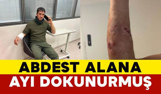 Abdest almaya giderken ayı saldırısına uğrayan şahıs yaralandı