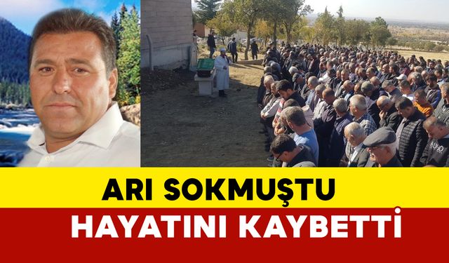 Arı sokmuştu hayatını kaybetti