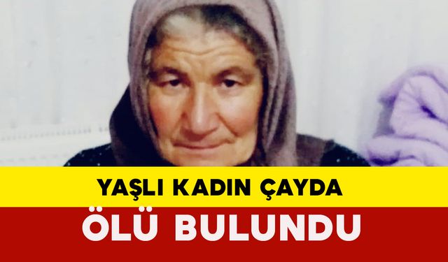 Gaziantep'te haber alınamayan yaşlı kadın çayda ölü bulundu